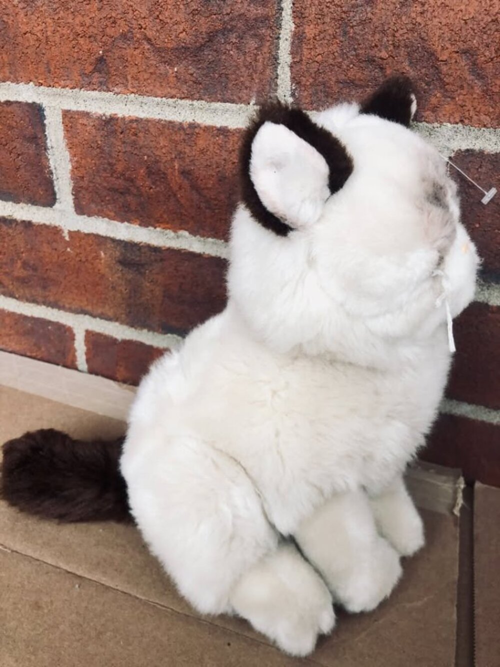 Grumpy Cat GUND Plush Stuffed Animal Tan Brown 10” 4040133 Meme Cat Sitting - Picture 3 of 3